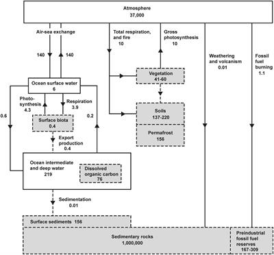 Impacts of Changes in Atmospheric O2 on Human Physiology. Is There a Basis for Concern?